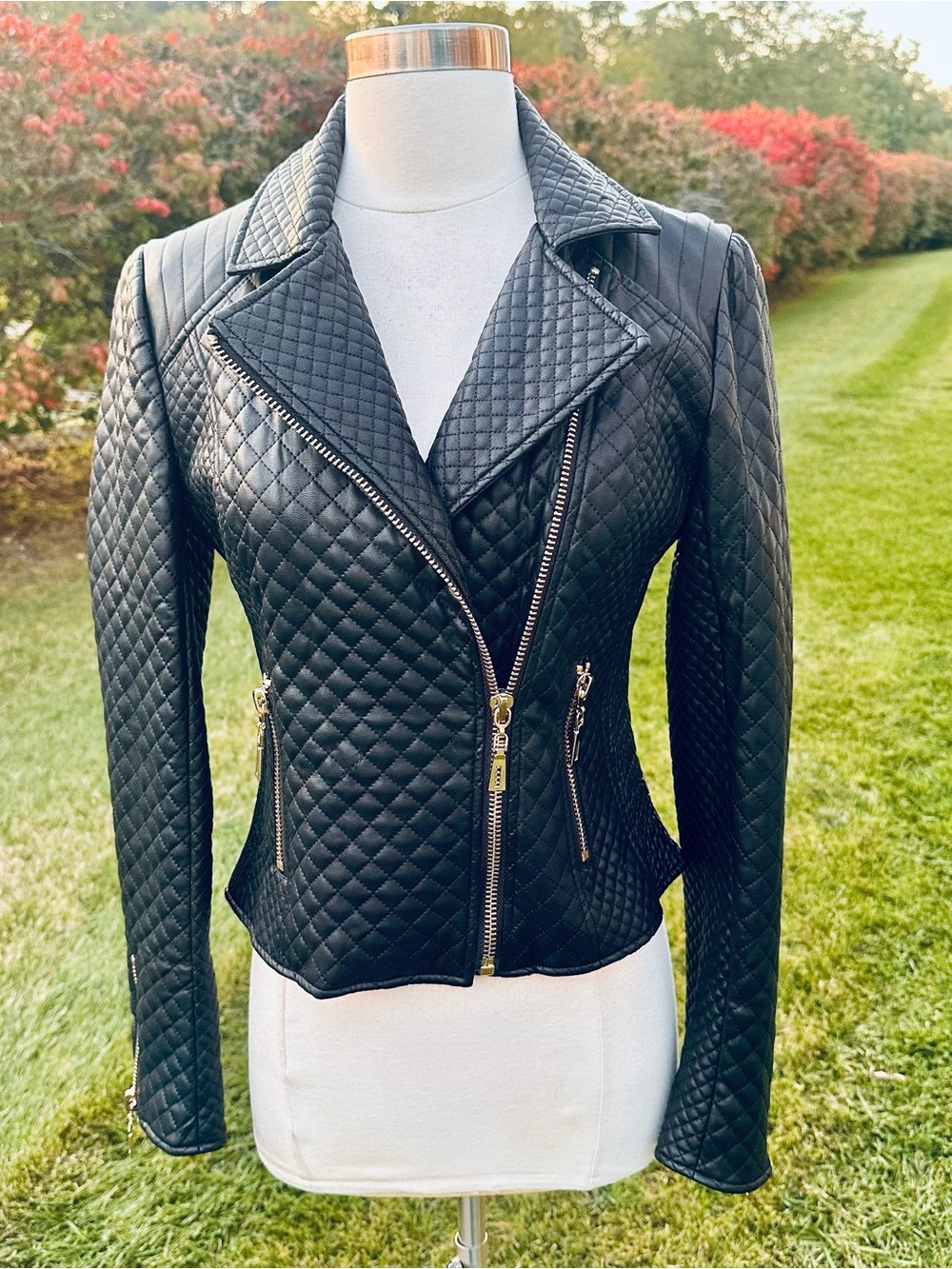 Fate Textured Faux Leather Moto Jacket